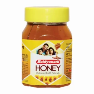 Baidyanath Pure Honey (100g)
