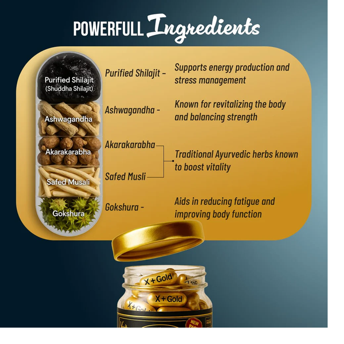 X Plus Gold Capsule – Strength | Stamina | Vitality (90 Capsule) - Image 4